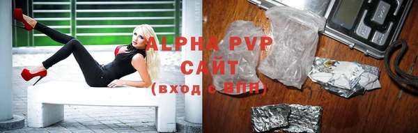 крисы Абаза
