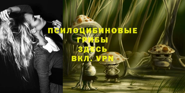 apvp Абдулино