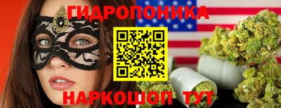 герыч Можга