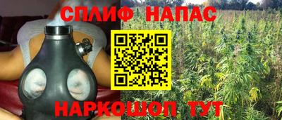герыч Можга