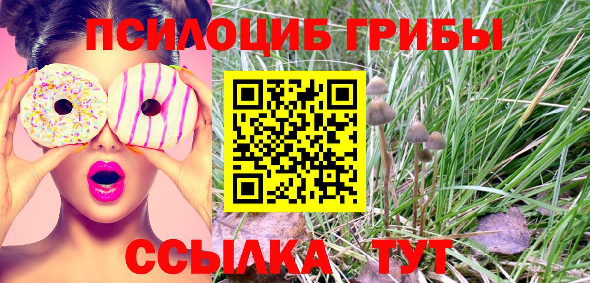Галлюциногенные грибы мицелий  Вход с VPN  Шахты 
