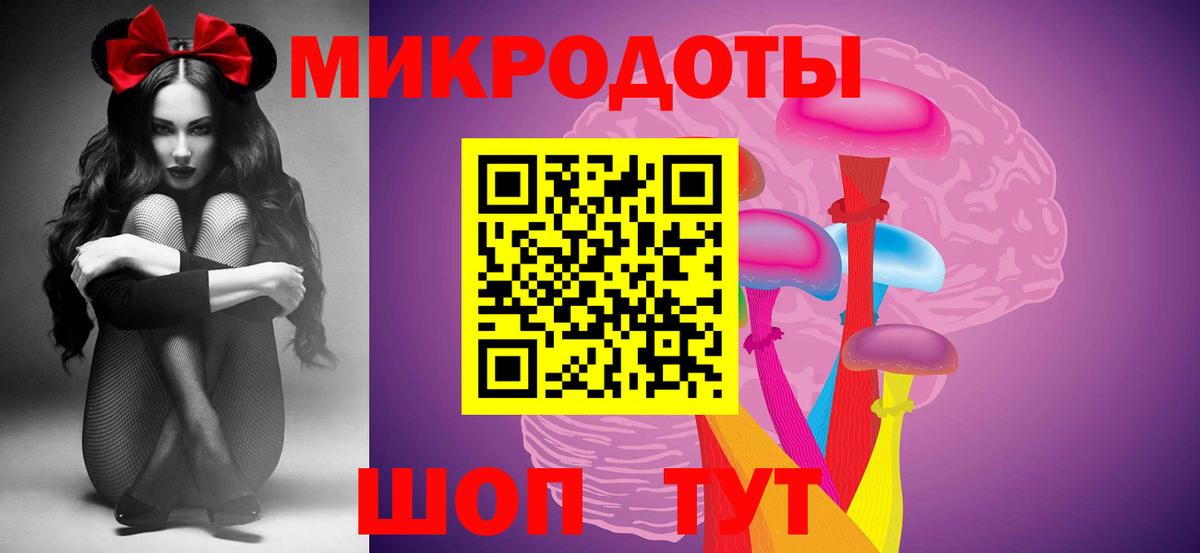 Псилоцибиновые грибы Psilocybine cubensis Шахты