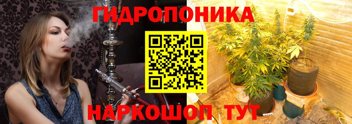 Конопля OG Kush Шахты